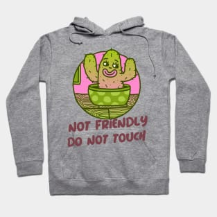 Not Friendly Do Not Touch Hoodie